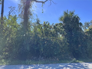 Beach Lot Sale Pending in Punta Gorda, Florida