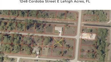 Beach Lot For Sale in Lehigh Acres, Florida