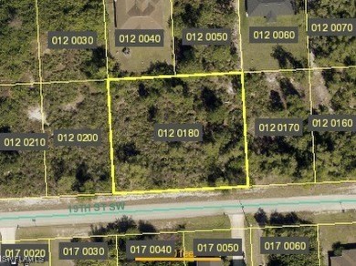 Beach Lot For Sale in Lehigh Acres, Florida