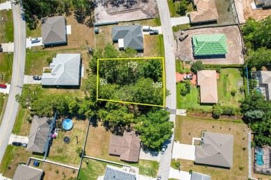 Beach Lot Sale Pending in Palm Coast, Florida