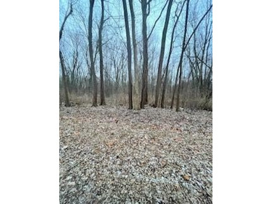 Beach Lot For Sale in Saint Joseph, Michigan