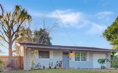 Home For Sale in St. Petersburg image photo picture