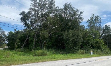 Beach Lot For Sale in Seminole, Florida