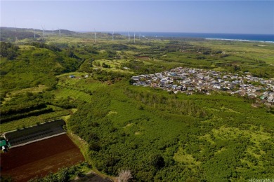 Beach Lot For Sale in Kahuku, Hawaii