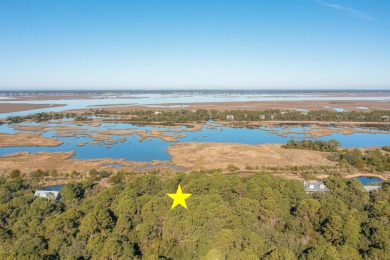 Beach Lot For Sale in Dewees Island, South Carolina