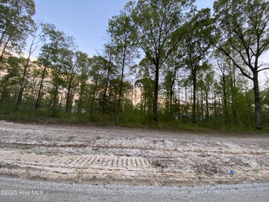 Beach Lot Sale Pending in New Bern, North Carolina