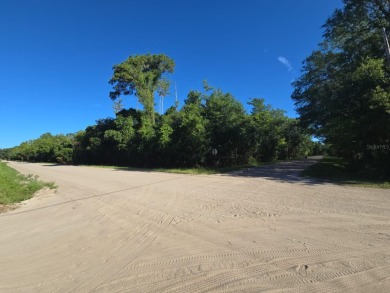 Beach Lot For Sale in Bunnell, Florida