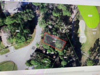 Beach Lot Off Market in Homosassa, Florida