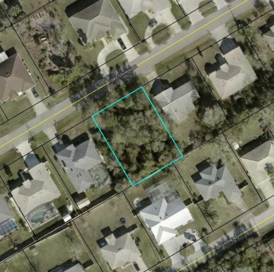 Beach Lot Sale Pending in Palm Coast, Florida