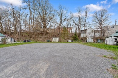 Beach Lot For Sale in Richland, New York