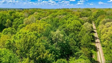Beach Acreage For Sale in Attica, Michigan