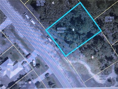 Beach Lot For Sale in Lehigh Acres, Florida