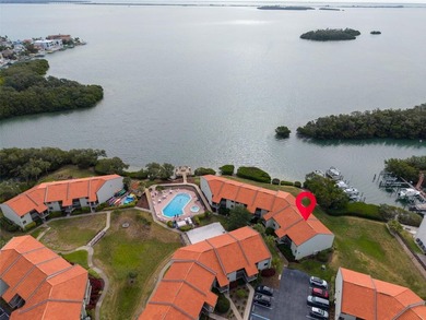 Beach Condo For Sale in Tierra Verde, Florida