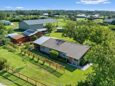 Beach Home For Sale in New Smyrna Beach, Florida