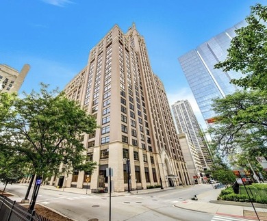 Beach Condo For Sale in Chicago, Illinois