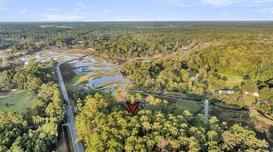 Beach Acreage For Sale in Meggett, South Carolina