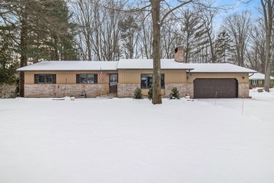 Beach Home For Sale in Ludington, Michigan