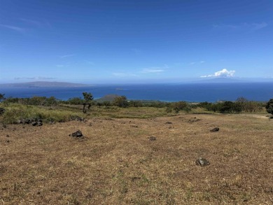 Beach Acreage For Sale in Kula, Hawaii