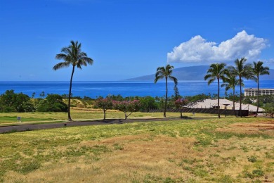 Beach Lot For Sale in Lahaina, Hawaii