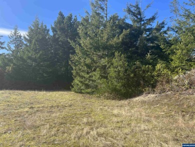 Beach Lot Off Market in Florence, Oregon