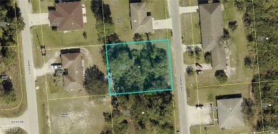 Beach Lot For Sale in Lehigh Acres, Florida