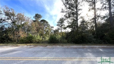 Beach Lot For Sale in Midway, Georgia