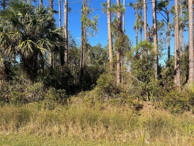 Beach Lot For Sale in North Port, Florida