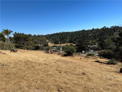 Beach Lot For Sale in Cambria, California