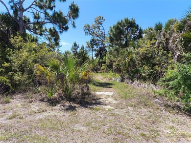 Beach Lot For Sale in Port Charlotte, Florida