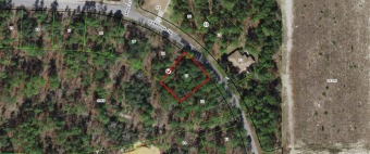 Beach Lot Off Market in Homosassa, Florida