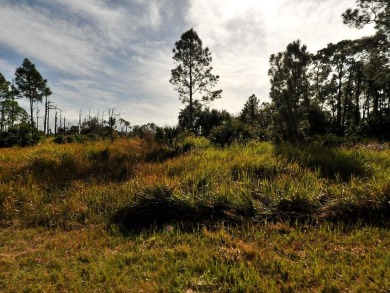 Beach Lot For Sale in North Port, Florida