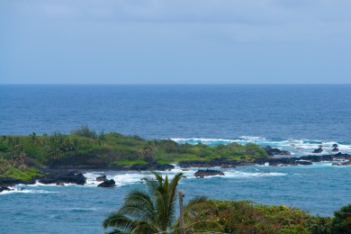 Beach Home For Sale in Hana, Hawaii