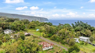 Beach Home For Sale in Honokaa, Hawaii