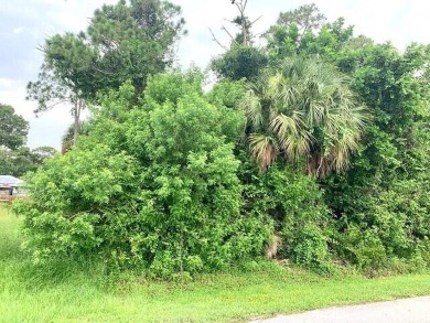 Beach Lot For Sale in Fort Pierce, Florida