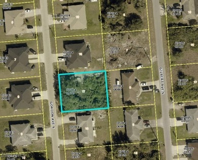 Beach Lot For Sale in Lehigh Acres, Florida