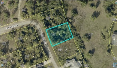 Beach Lot For Sale in Lehigh Acres, Florida