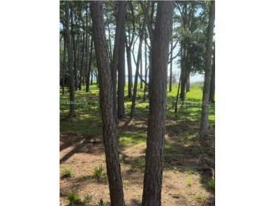 Beach Lot For Sale in Daufuskie Island, South Carolina