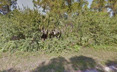 Beach Lot For Sale in North Port, Florida
