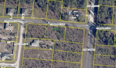 Beach Lot For Sale in Weeki Wachee, Florida
