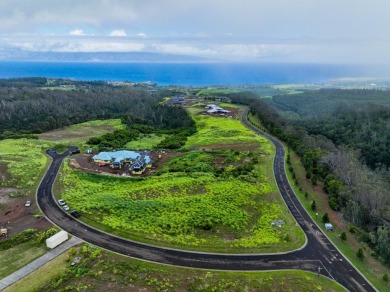 Beach Lot For Sale in Lahaina, Hawaii