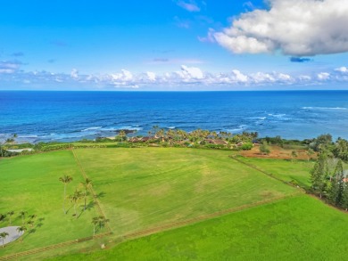Beach Acreage For Sale in Anahola, Hawaii