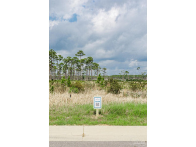 Beach Lot For Sale in Pensacola, Florida