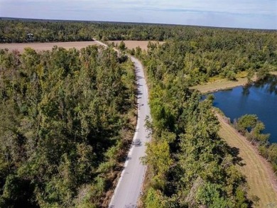 Beach Acreage For Sale in Montegut, Louisiana