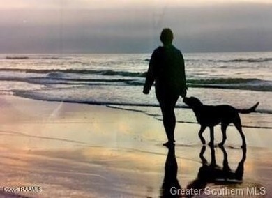 Beach Lot For Sale in Cameron, Louisiana