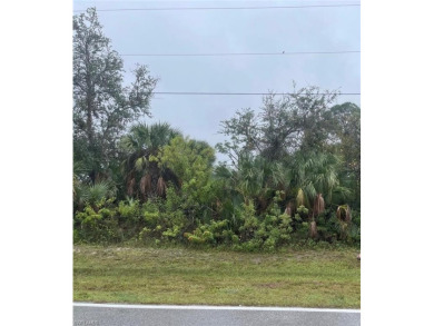 Beach Lot For Sale in Rotonda West, Florida