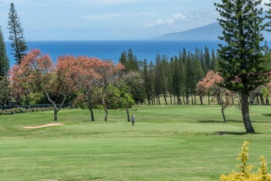 Beach Condo For Sale in Lahaina, Hawaii