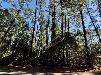 Beach Lot For Sale in Okatie, South Carolina