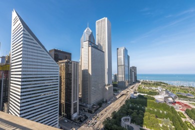 Beach Condo For Sale in Chicago, Illinois