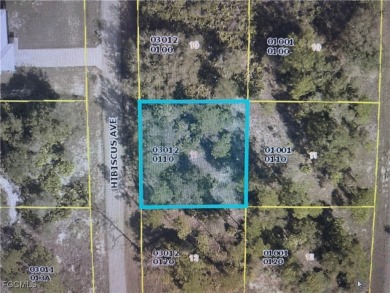 Beach Lot For Sale in Lehigh Acres, Florida