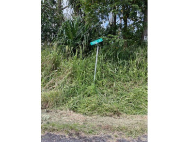 Beach Lot For Sale in Pahoa, Hawaii